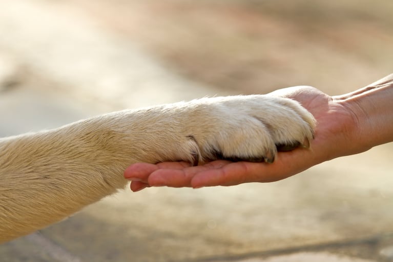 Enjoying Retirement with Beloved Pets at Winnwood