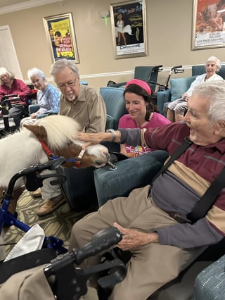 Hanging out with a pony at Winnwood